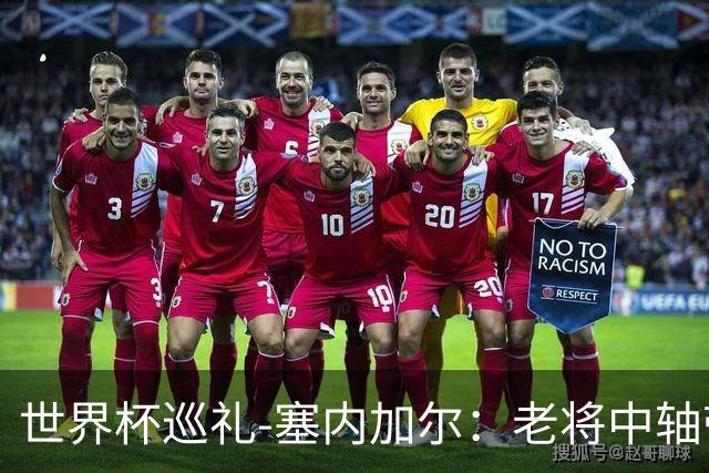 世界杯巡礼-塞内加尔：老将中轴带来安全感，非洲顶流前景可期！
